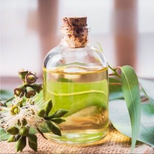 Eucalyptus Oil