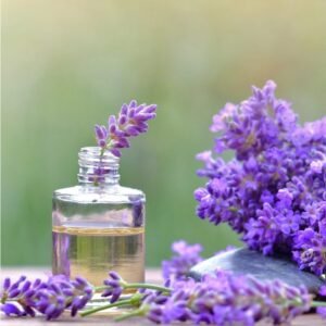 Lavender Oil